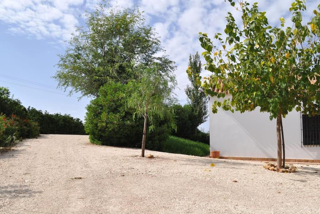 Casa Rural La Linana Córdoba Exteriör bild