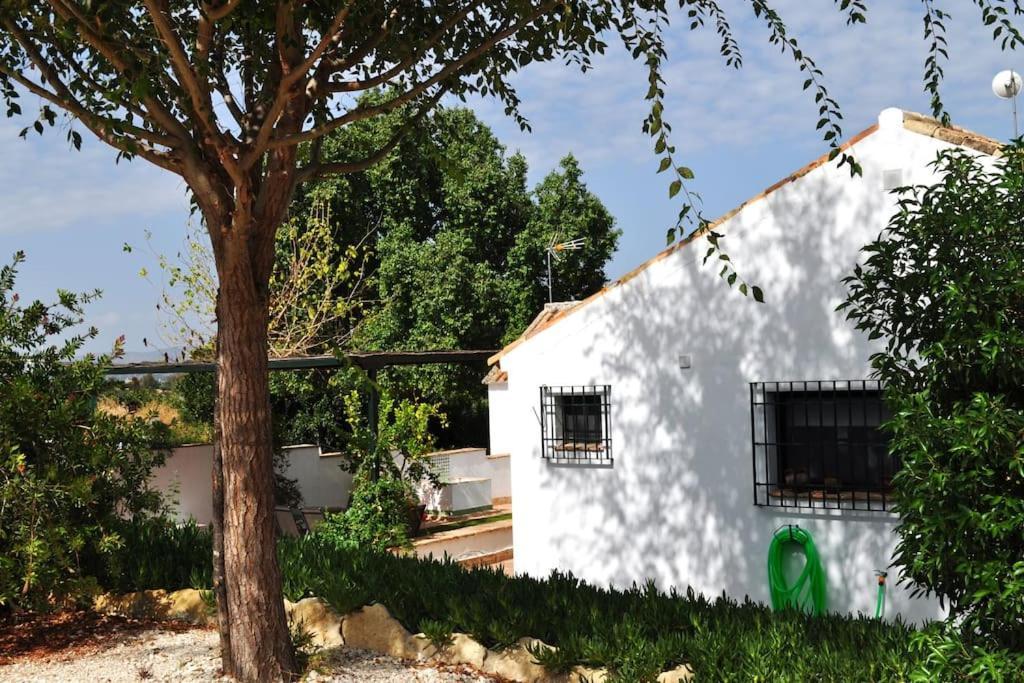 Casa Rural La Linana Córdoba Exteriör bild
